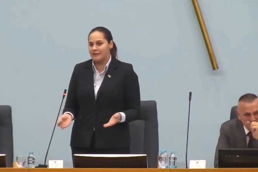 Potpredsjednica Narodne skupštine RS slupala službeni audi